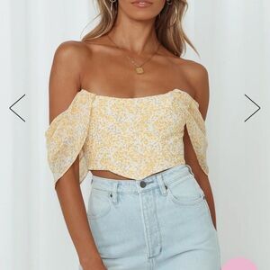 Hello Molly Picnic Dance Crop Top